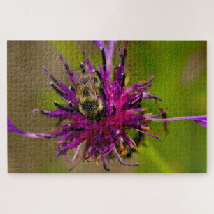 Foto einer wunderschönen lila Blume mit Honigbiene Puzzle
