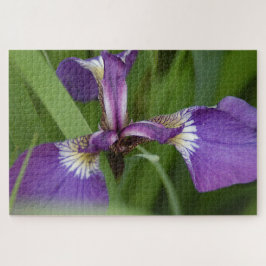 Foto einer wunderschönen, lila Iris-Blume Puzzle