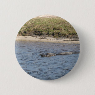 Foto eines amerikanischen Alligators, der in einem Button