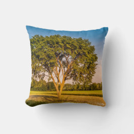 Foto eines Baumes in Feldern Kissen