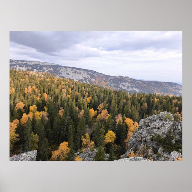 Foto eines bergigen Herbstwaldes, Berge, p Poster (Vorne)