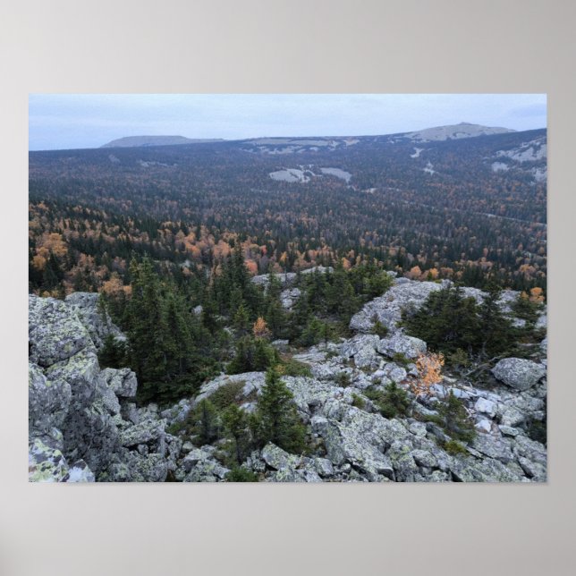 Foto eines bergigen Herbstwaldes, Berge, p Poster (Vorne)