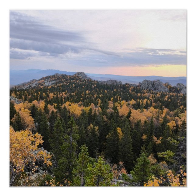 Foto eines bergigen Herbstwaldes, Berge, p Poster (Vorderseite)
