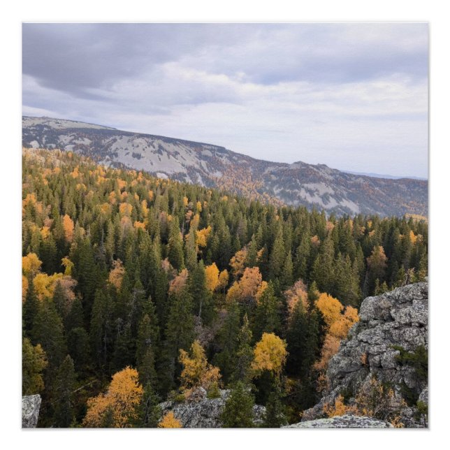 Foto eines bergigen Herbstwaldes, Berge, p Poster (Vorderseite)