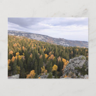 Foto eines bergigen Herbstwaldes, Feiertagspostkarte