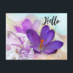 Foto eines Hübschen Lila Frühlingszitals Hallo Feiertagspostkarte<br><div class="desc">Postkarte mit einem hübschen Foto eines dunklen lila Crocus Set in einem Glasgefäß. Im Hintergrund ist eine leichte lila Blüte zu sehen.</div>