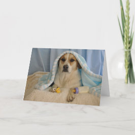 Foto eines Hundes als Babyjunge Karte
