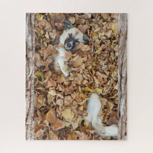 Foto eines Hundes in den Blätter. Puzzle