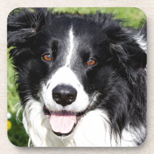 Foto eines Hundes Untersetzer