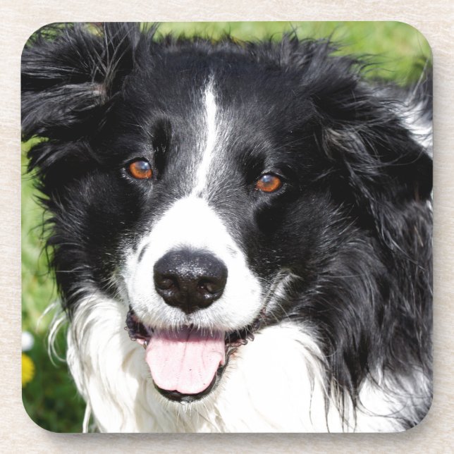 Foto eines Hundes Untersetzer (Vorderseite)