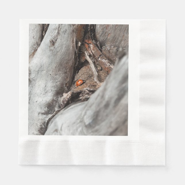 Foto eines Käfers Serviette (Vorderseite)