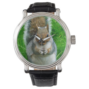 Foto eines Niedlichen Eichhörnchens in einem Gart Armbanduhr