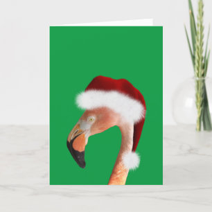 Foto eines rosa Flamingos in roter Weihnachtsmannm Feiertagskarte