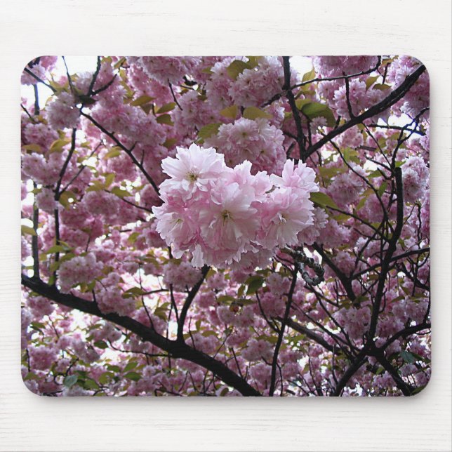 Foto eines rosa Kirschblütenbaums Mousepad (Vorne)