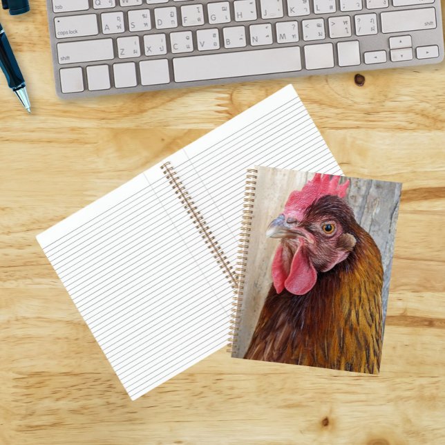 Foto eines roten Hühnerhens Notizbuch (In Situ)