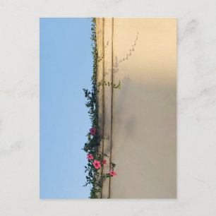 Foto eines ruhigen Moments Postkarte