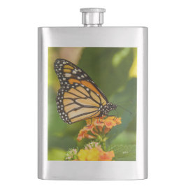 Foto eines Schmetterlinges auf einer Blume Flachmann