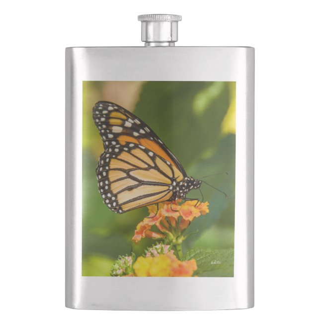 Foto eines Schmetterlinges auf einer Blume Flachmann (Vorderseite)