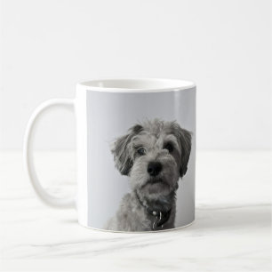 Foto eines Schnauzer-Welpenporträts Kaffeetasse