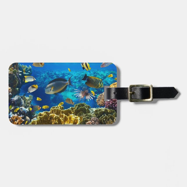 Foto eines tropischen Fisches auf einem Gepäckanhänger (Vorderseite horizontal)