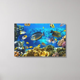 Foto eines tropischen Fisches auf einem Leinwanddruck