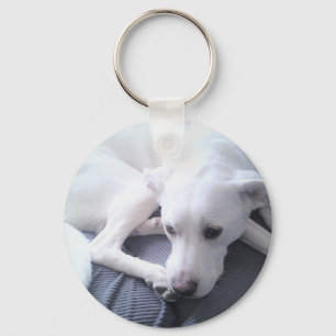 Foto eines wunderschönen White Labrador Retriever Schlüsselanhänger