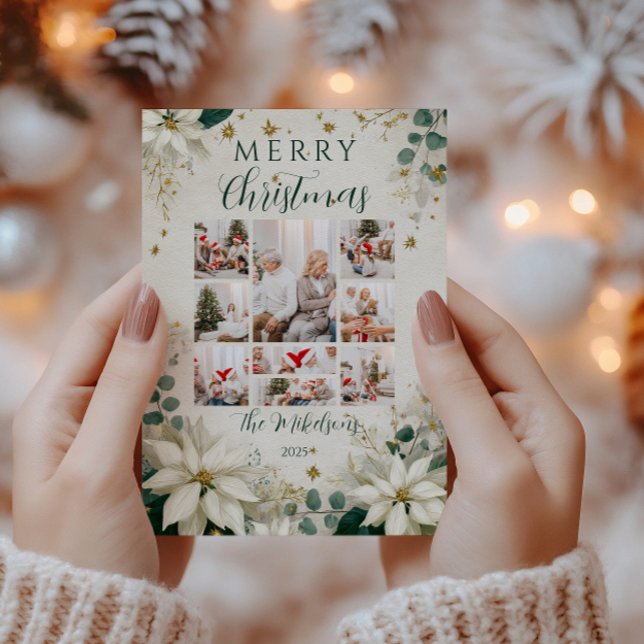 Foto Elegant White Poinsettia Weihnachten (Von Creator hochgeladen)