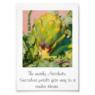 Foto-Erweiterung Fotodruck