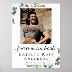 Foto Eukalyptus Begräbniszeichen Poster