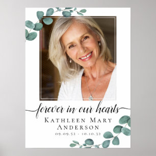 Foto Eukalyptus Begräbniszeichen Poster