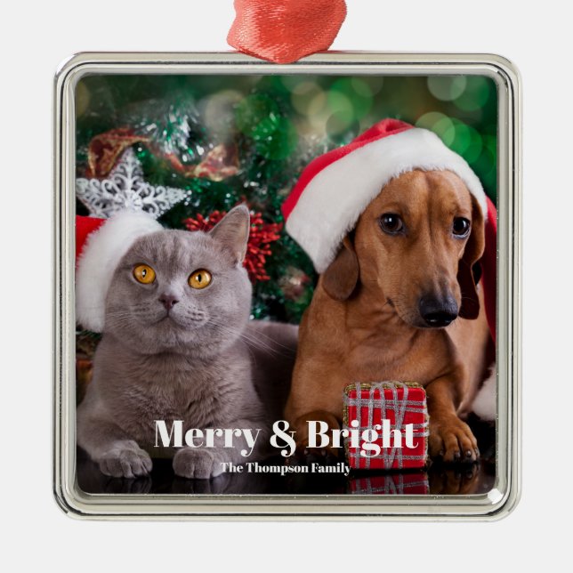 Foto Familienname für Haustiere Merry und Bright Ornament Aus Metall (Vorne)