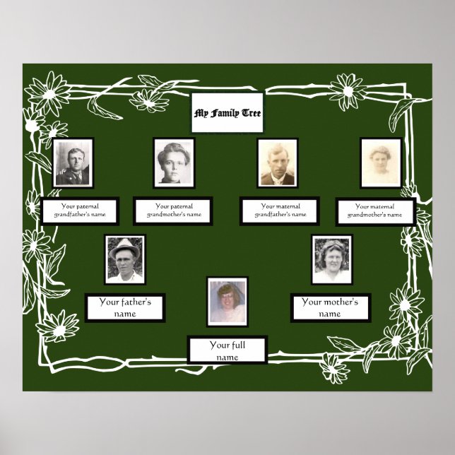 Foto Family Tree Daisy Art Border on Green Poster (Vorne)