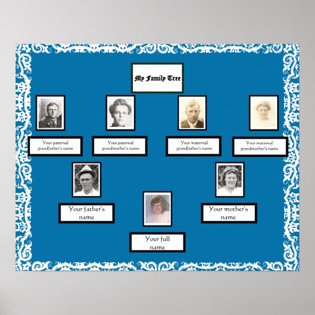Foto Family Tree Lace sieht auf blau grenzend aus Poster (Vorne)