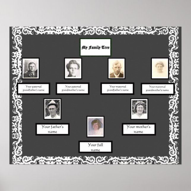Foto Family Tree Lace sieht in Dunkelgrau grenzenl Poster (Vorne)