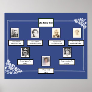 Foto Family Tree Rose Zeichnend Grenze auf blau Poster