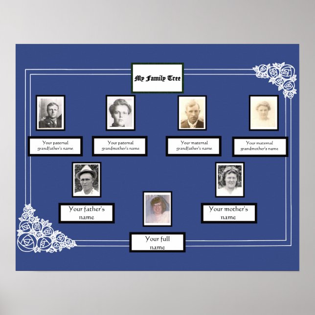 Foto Family Tree Rose Zeichnend Grenze auf blau Poster (Vorne)