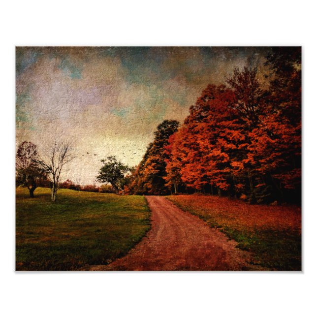 Foto - Farbe (Vorne)