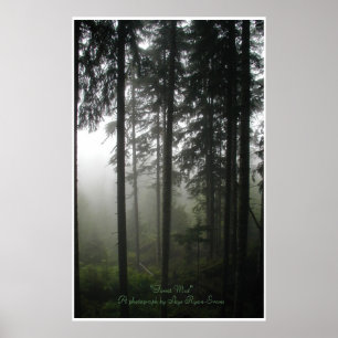 Foto "FOREST MIST" im Wildniswald Poster