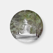 Foto "Forest Road Snow Pine Tree"