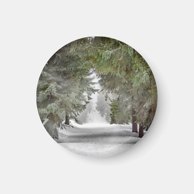 Foto "Forest Road Snow Pine Tree" Magnet (Vorne)