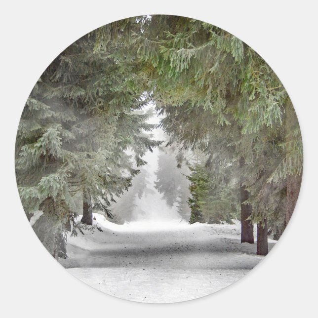 Foto "Forest Road Snow Pine Tree" Runder Aufkleber (Vorderseite)