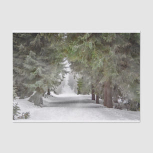 Foto "Forest Road Snow Pine Tree" Seidenpapier