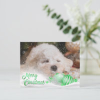 Foto Frohe Weihnachtsschnee Overlay Haushalt Grün