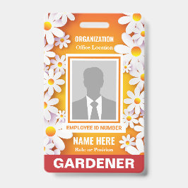 Foto Frohe White Daisies Orange Identifikation Ausweis