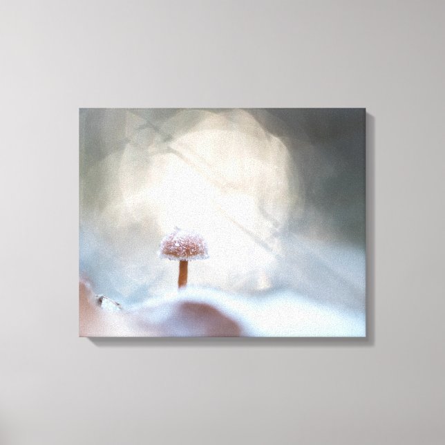 Foto "Frozen Mushroom Nature" Leinwanddruck (Vorderseite)