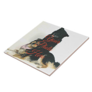 Foto für benutzerdefinierte Keramik - 2 Formate Fliese