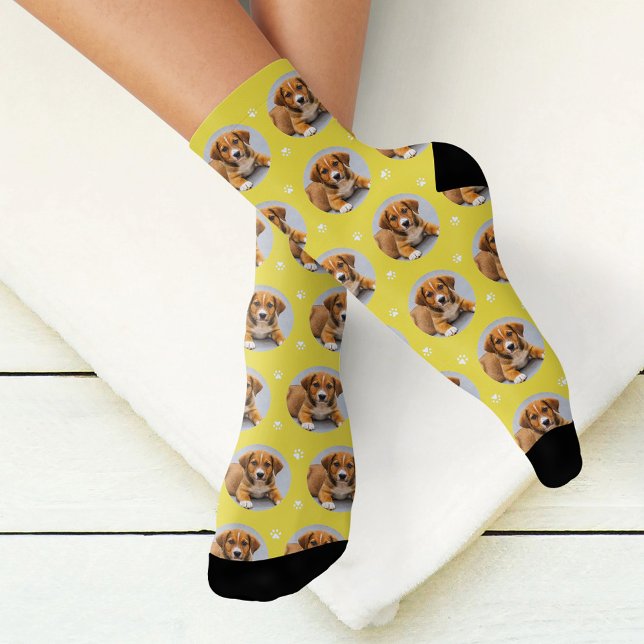 Foto für den benutzerdefinierten Hund Gelbe Paw Pr Socken (Von Creator hochgeladen)