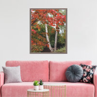 Foto für die Farbe des Herbstblattes