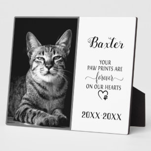 Foto für die individuelle Begutachtung Fotoplatte