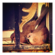 Foto für die Vorbereitung